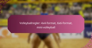 featured-image-volleyballregler-44-format-66-format-mini-volleyball