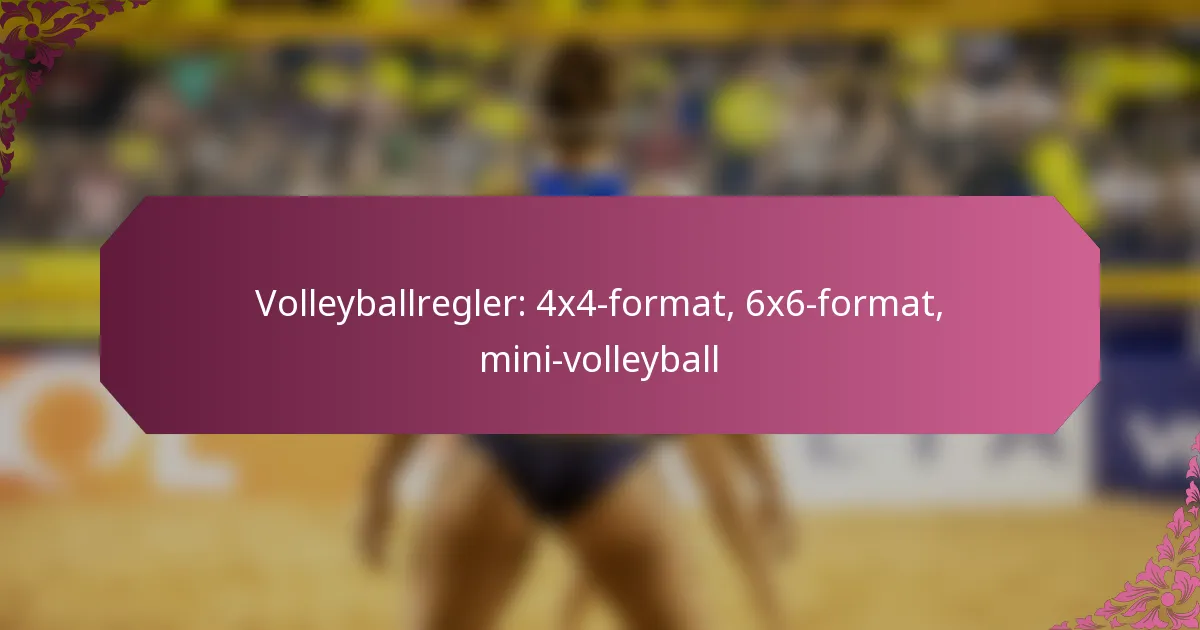 featured-image-volleyballregler-44-format-66-format-mini-volleyball