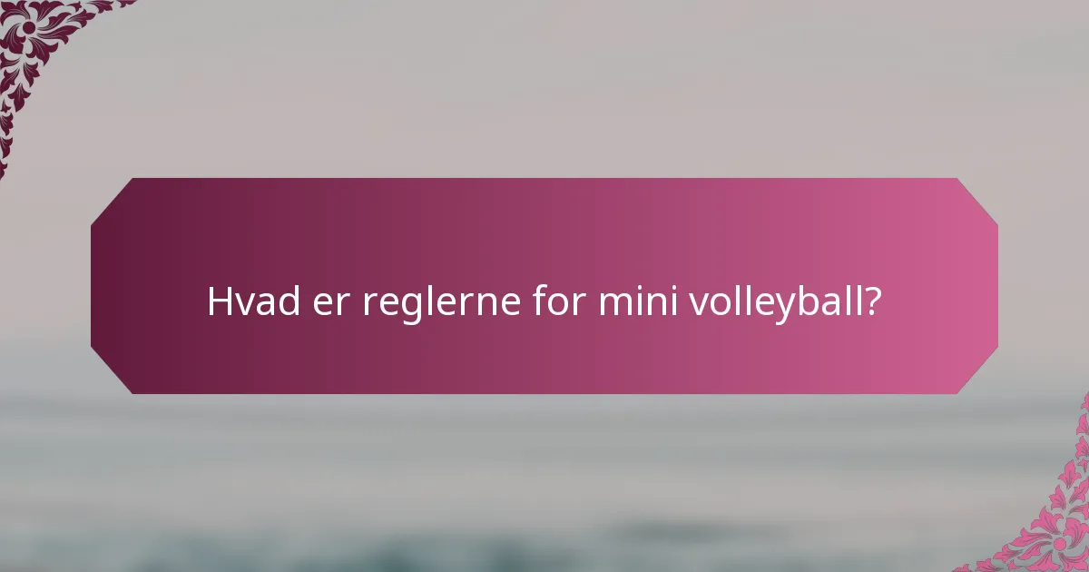 Hvad er reglerne for mini volleyball?